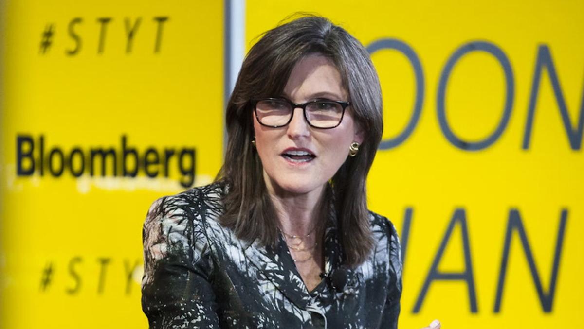 Bitcoin’s Bullish Momentum Slows as Long-Term Holder Stacks Hit Record Bitcoin’s Bullish Momentum Slows as Long-Term Holder Stacks Hit Record