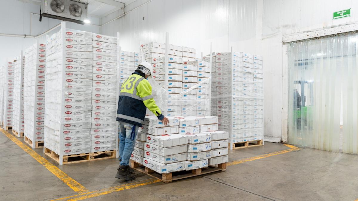 Cold storage trough in sight as vacancies hit 20-year high Cold storage trough in sight as vacancies hit 20-year high