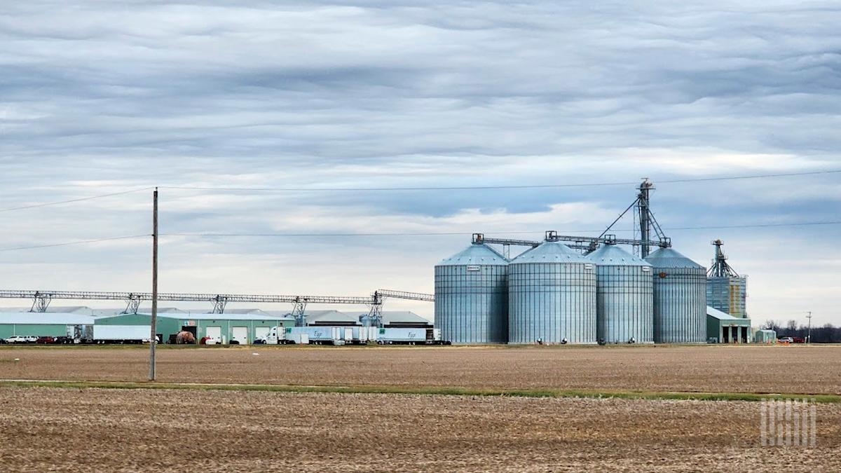 What Brazil’s ‘Egg King’ Buying Hillandale Farms Means for US Eggs and Freight What Brazil’s ‘Egg King’ Buying Hillandale Farms Means for US Eggs and Freight