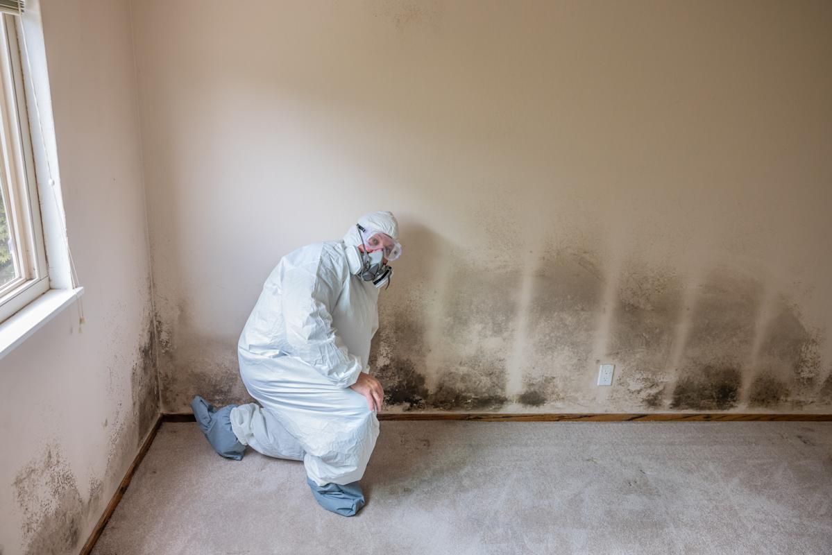 What does a home remediation company do? A homeowner’s guide to disaster recovery. What does a home remediation company do? A homeowner’s guide to disaster recovery.