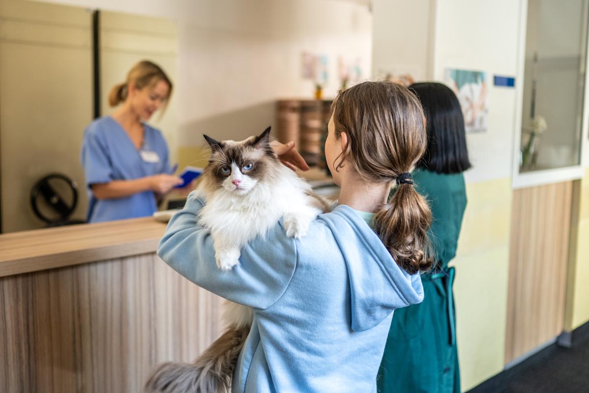 How much does a vet visit cost? How much does a vet visit cost?