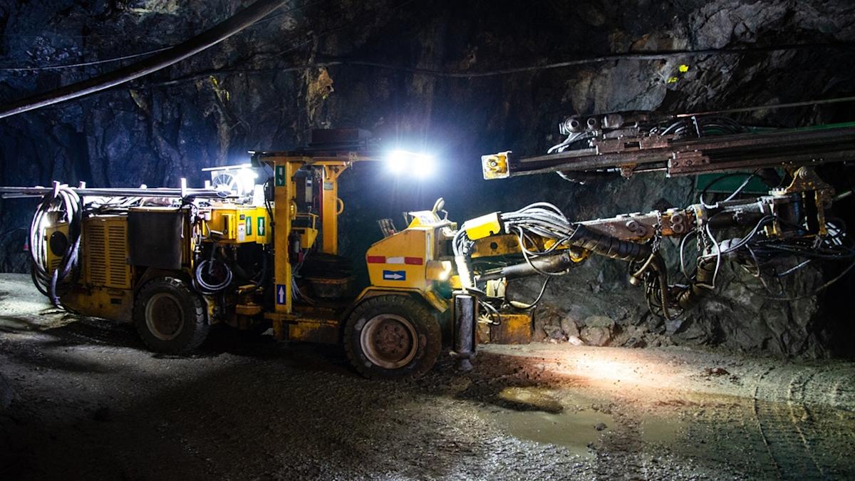 Black Cat Syndicate commences underground mining at Kal East Gold’s Majestic deposit Black Cat Syndicate commences underground mining at Kal East Gold’s Majestic deposit