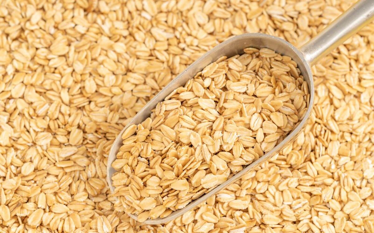 How Much Higher Will Oat Prices Go in 2026? How Much Higher Will Oat Prices Go in 2026?