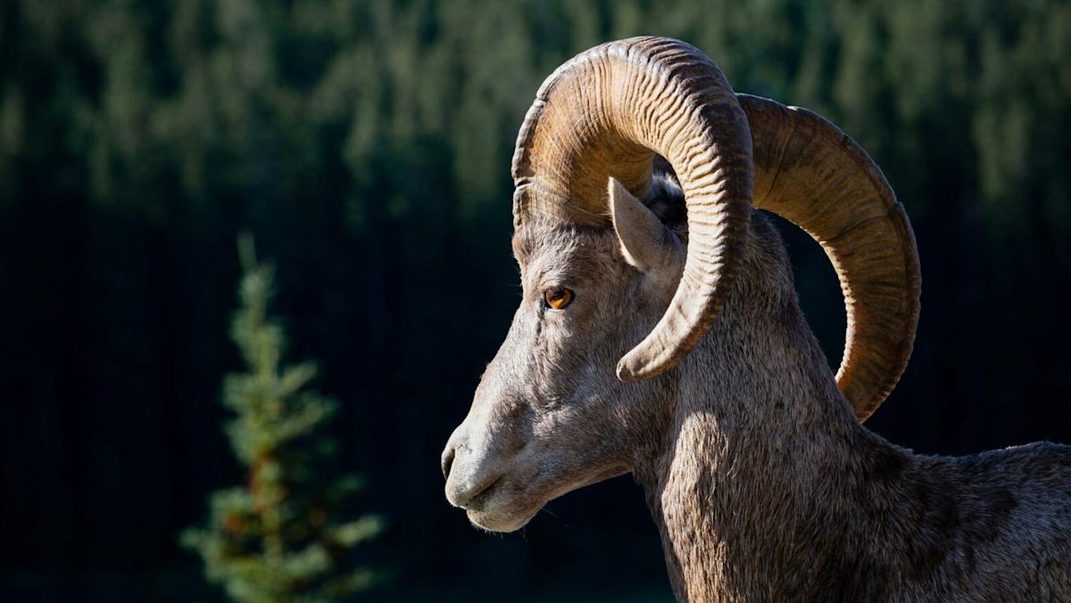 T. Rowe Price Wades Into the Crypto Arena T. Rowe Price Wades Into the Crypto Arena