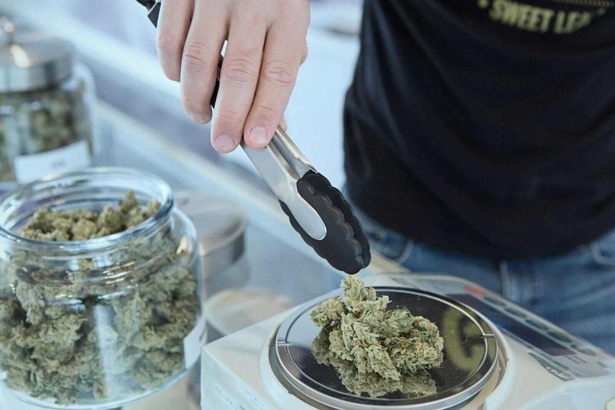 Is Tilray Stock a Buy, Sell, or Hold for August 2025? Is Tilray Stock a Buy, Sell, or Hold for August 2025?