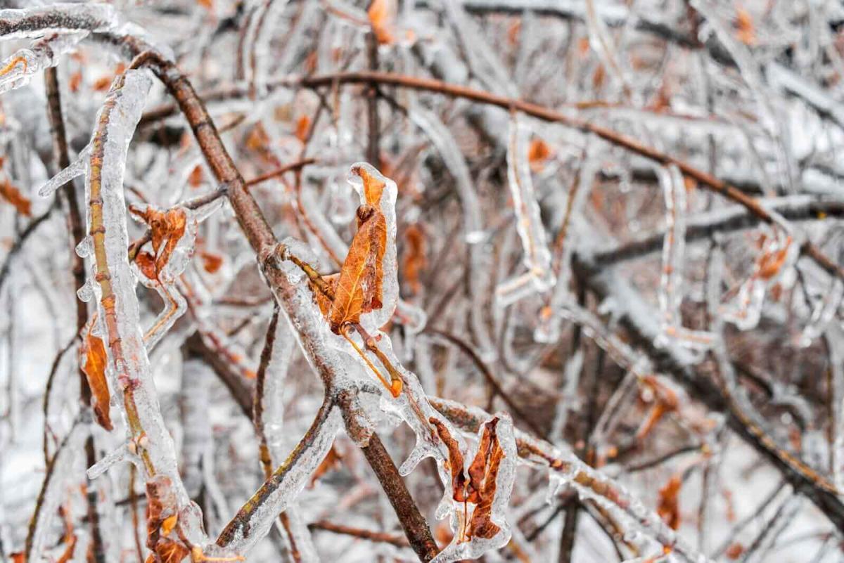 Nat-Gas Prices Surge Due to Persistent US Cold Weather Nat-Gas Prices Surge Due to Persistent US Cold Weather