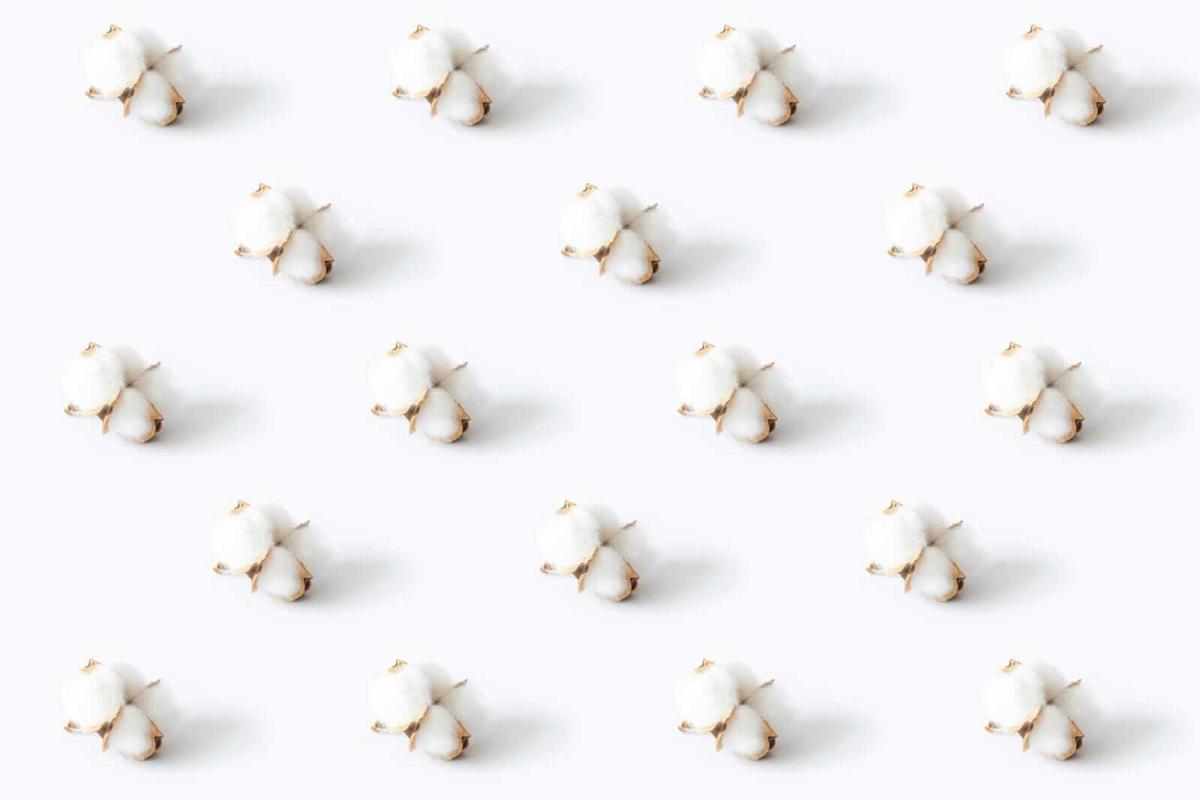 Cotton Heads into the Labor Day Weekend with Losses Cotton Heads into the Labor Day Weekend with Losses