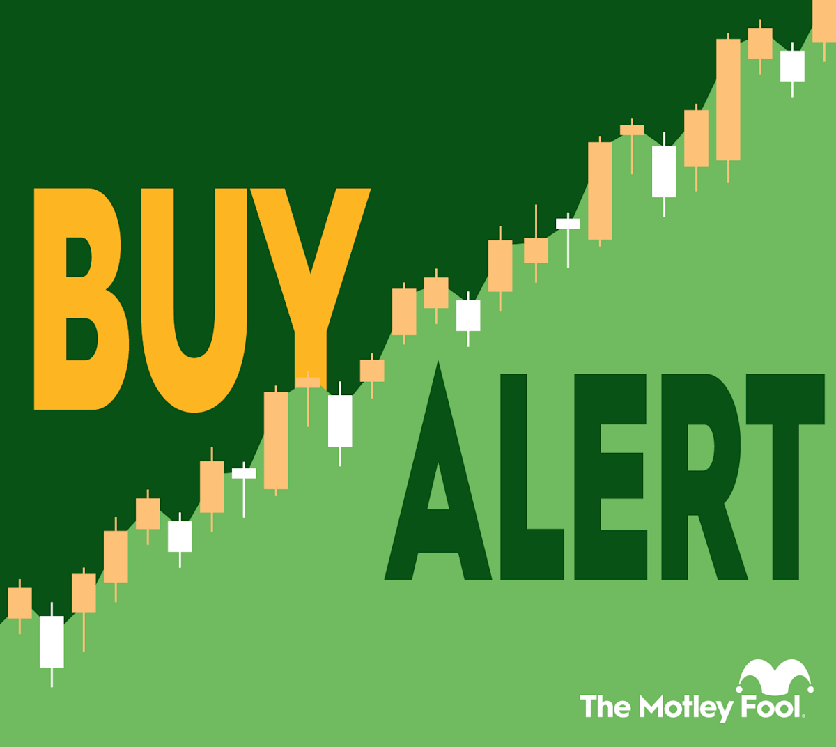 Why One Fund Established a Million Bet on This Bond ETF Why One Fund Established a Million Bet on This Bond ETF