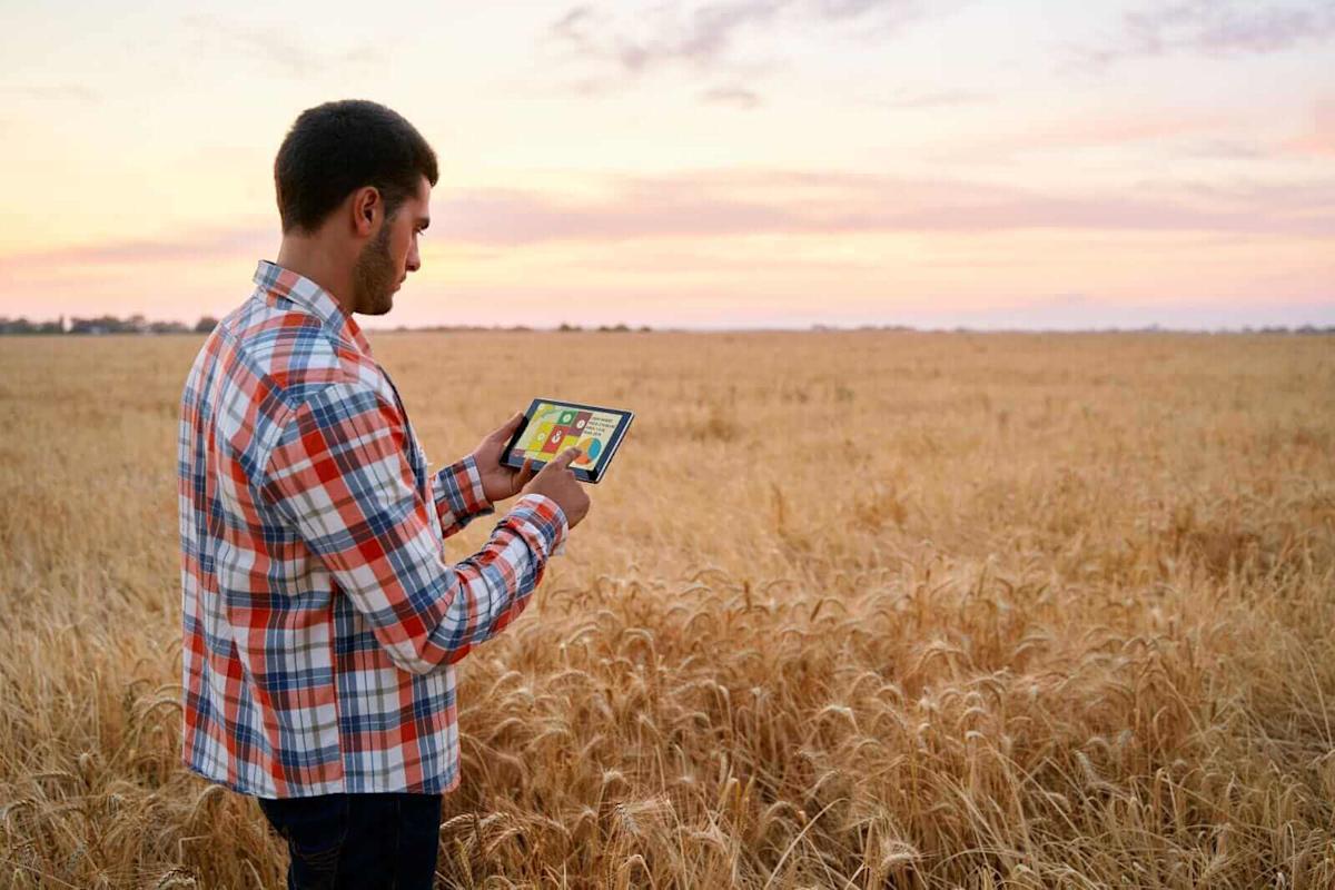 Wheat Posts Friday Gains Wheat Posts Friday Gains