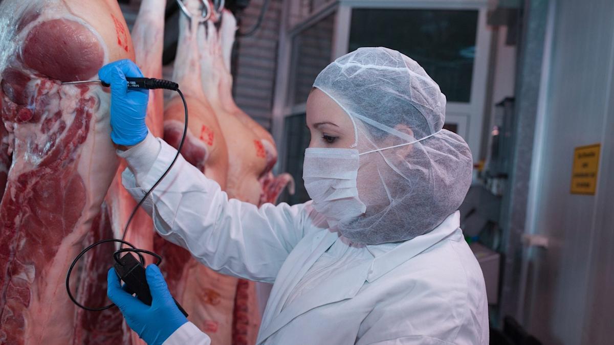 Austria’s Norbert Marcher strikes deal for EG Südbayern slaughterhouses Austria’s Norbert Marcher strikes deal for EG Südbayern slaughterhouses
