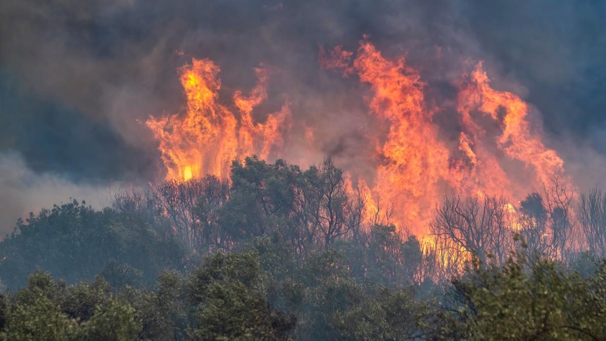 Kin Insurance taps ZestyAI for wildfire risk assessment Kin Insurance taps ZestyAI for wildfire risk assessment