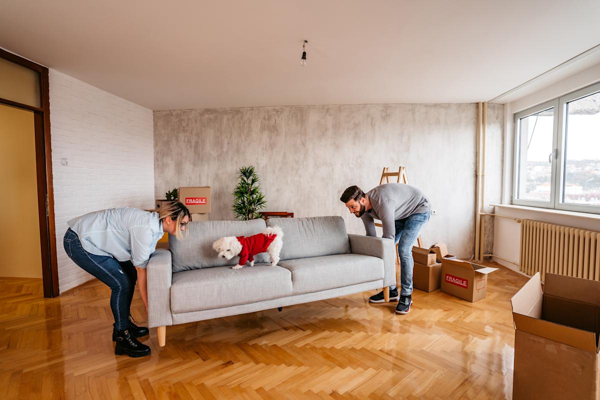 How they work and where to find them How they work and where to find them