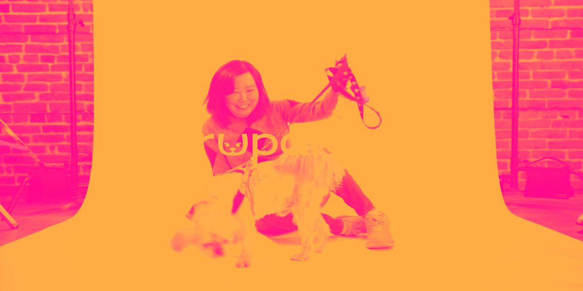 Why Trupanion (TRUP) Stock Is Trading Up Today Why Trupanion (TRUP) Stock Is Trading Up Today