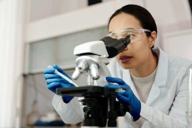 Here’s Simulations Plus Inc (SLP)’s Vision for AI in Drug Development Here’s Simulations Plus Inc (SLP)’s Vision for AI in Drug Development