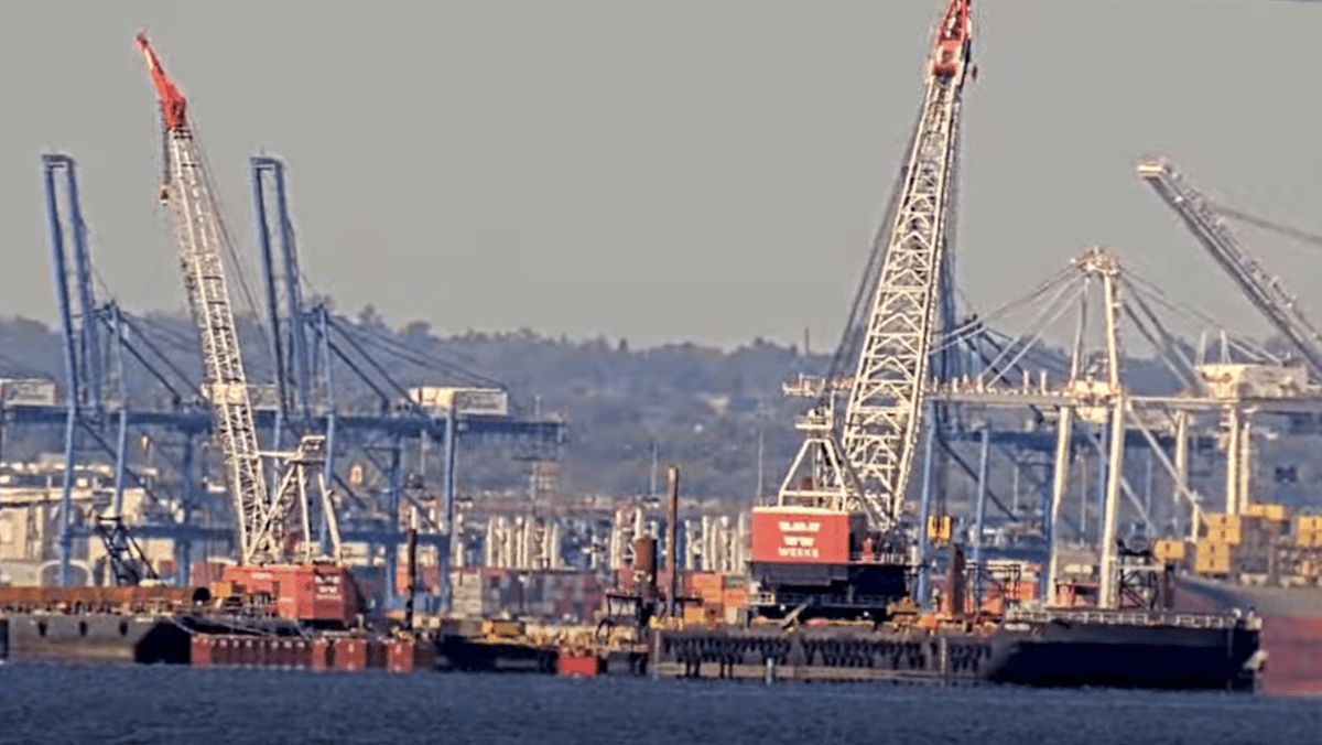 Tariffs cause some China imports to crash 44% in September Tariffs cause some China imports to crash 44% in September