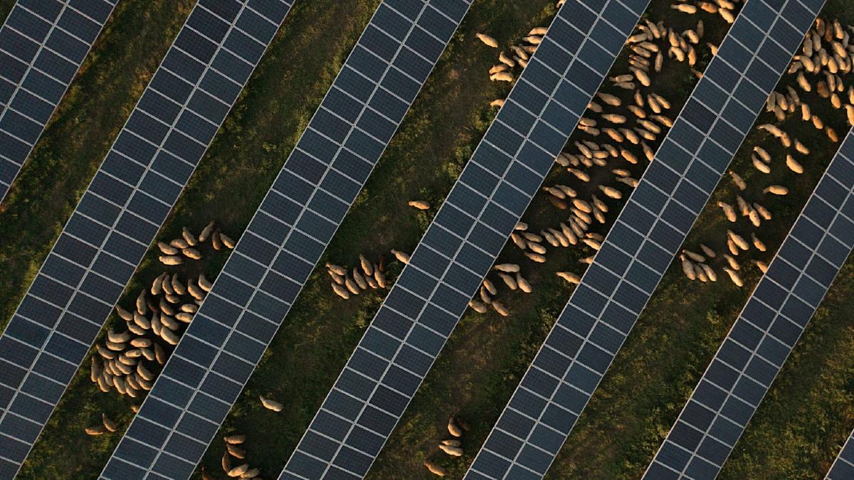 Waaree subsidiary begins operations at 3GW facility in Gujarat, India Waaree subsidiary begins operations at 3GW facility in Gujarat, India