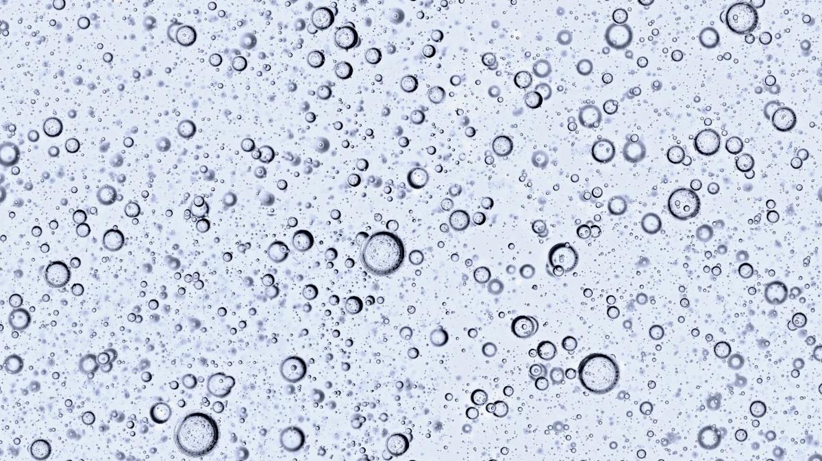 2 World Class Funds That Avoid The AI Bubble and Mag 7 Stocks 2 World Class Funds That Avoid The AI Bubble and Mag 7 Stocks