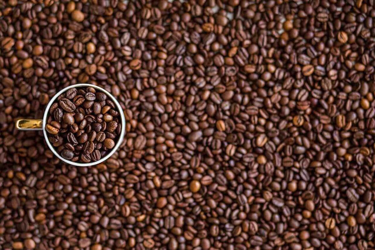 Robusta Coffee Prices Are Still Falling. Are We Finally at an Inflection Point? Robusta Coffee Prices Are Still Falling. Are We Finally at an Inflection Point?