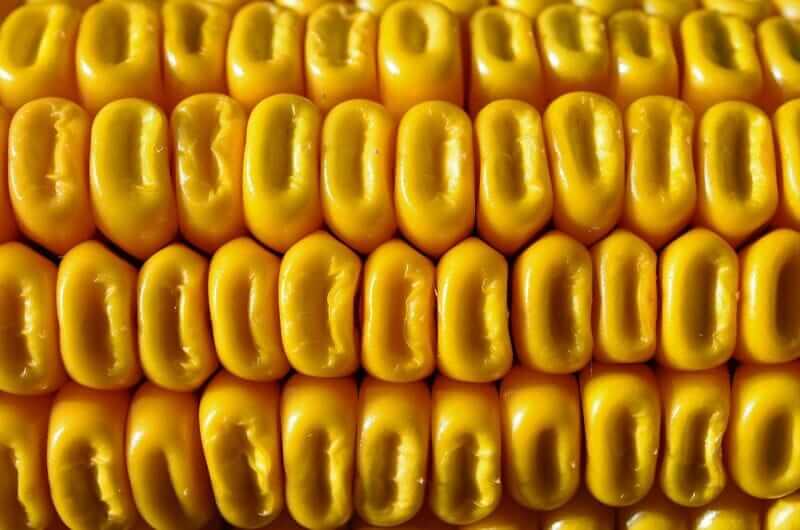 Corn Gains Extend to Wednesday Morning Trade Corn Gains Extend to Wednesday Morning Trade