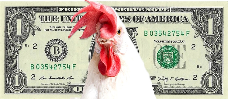 I would rather play chicken with my bills than with my savings I would rather play chicken with my bills than with my savings