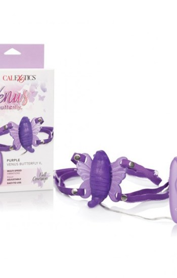 Venus Butterfly 2 Purple Venus Butterfly 2 Purple