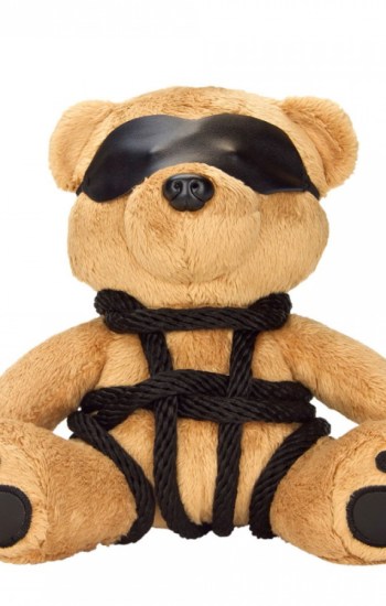Bondage Bearz Bound Up Bill Bondage Bearz Bound Up Bill