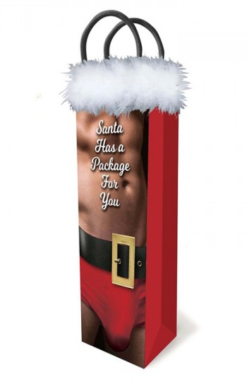 Santa Has A Big Package For You Gift Bag Santa Has A Big Package For You Gift Bag