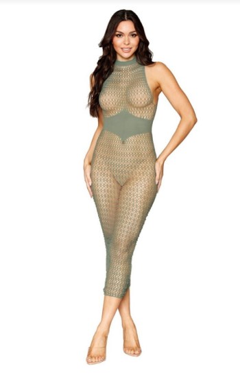 Sleeveless Net Long Bodystocking Gown Sleeveless Net Long Bodystocking Gown