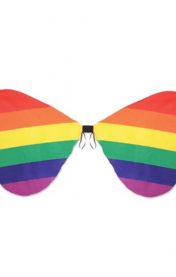 Pride Fabric Wings Rainbow Pride Fabric Wings Rainbow