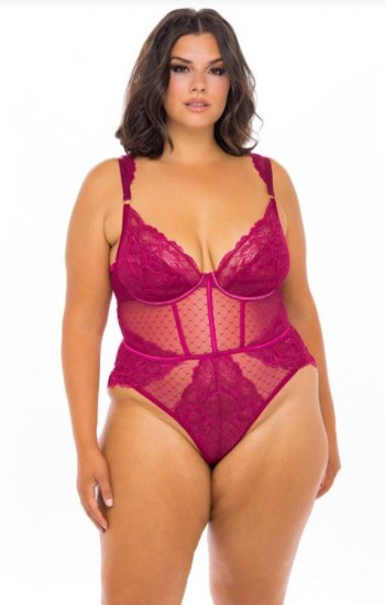 Harper Lace and Mesh Teddy Harper Lace and Mesh Teddy