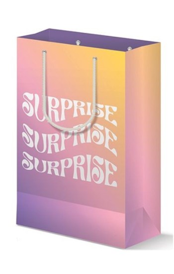 Surprise Gift Bag Surprise Gift Bag