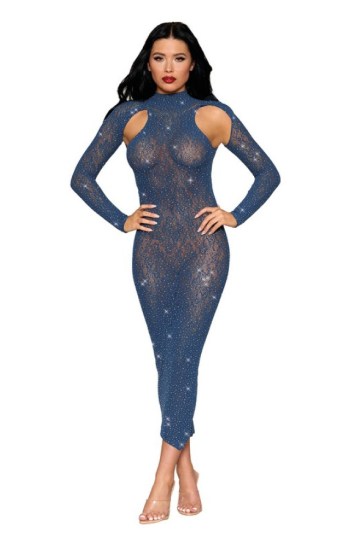 Lace and Mesh Long Sleeve Long Gown Lace and Mesh Long Sleeve Long Gown