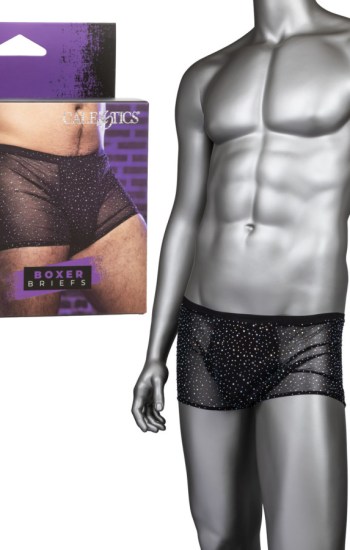 Radiance Boxer Briefs Radiance Boxer Briefs