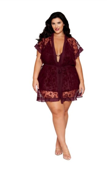 Robe and Chemise Set Robe and Chemise Set