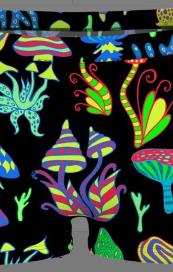 The Super Shroom Boyshort The Super Shroom Boyshort