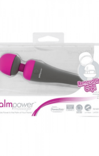 Palm Power Massager Wand Palm Power Massager Wand