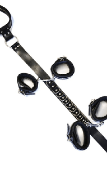 Bon Rouge D Ring Hog Tie Black Bon Rouge D Ring Hog Tie Black