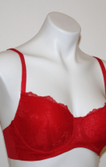 The Lizbeth Lightly Padded Bra The Lizbeth Lightly Padded Bra