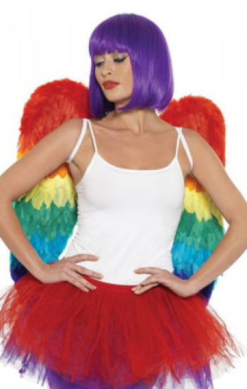 Rainbow Large Feather Wings Rainbow Large Feather Wings
