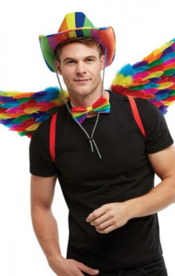 Rainbow Small Feather Wings Rainbow Small Feather Wings