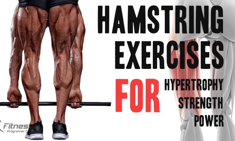 15 Best Hamstring Exercises: A Complete Workout Guide 15 Best Hamstring Exercises: A Complete Workout Guide