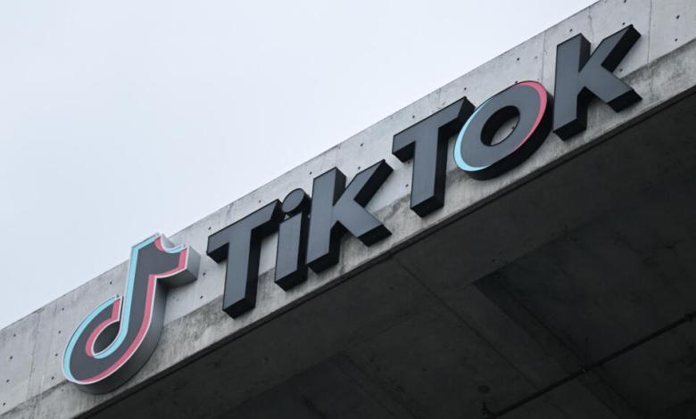 Albania to shut down TikTok for one year after fatal school stabbing Albania to shut down TikTok for one year after fatal school stabbing