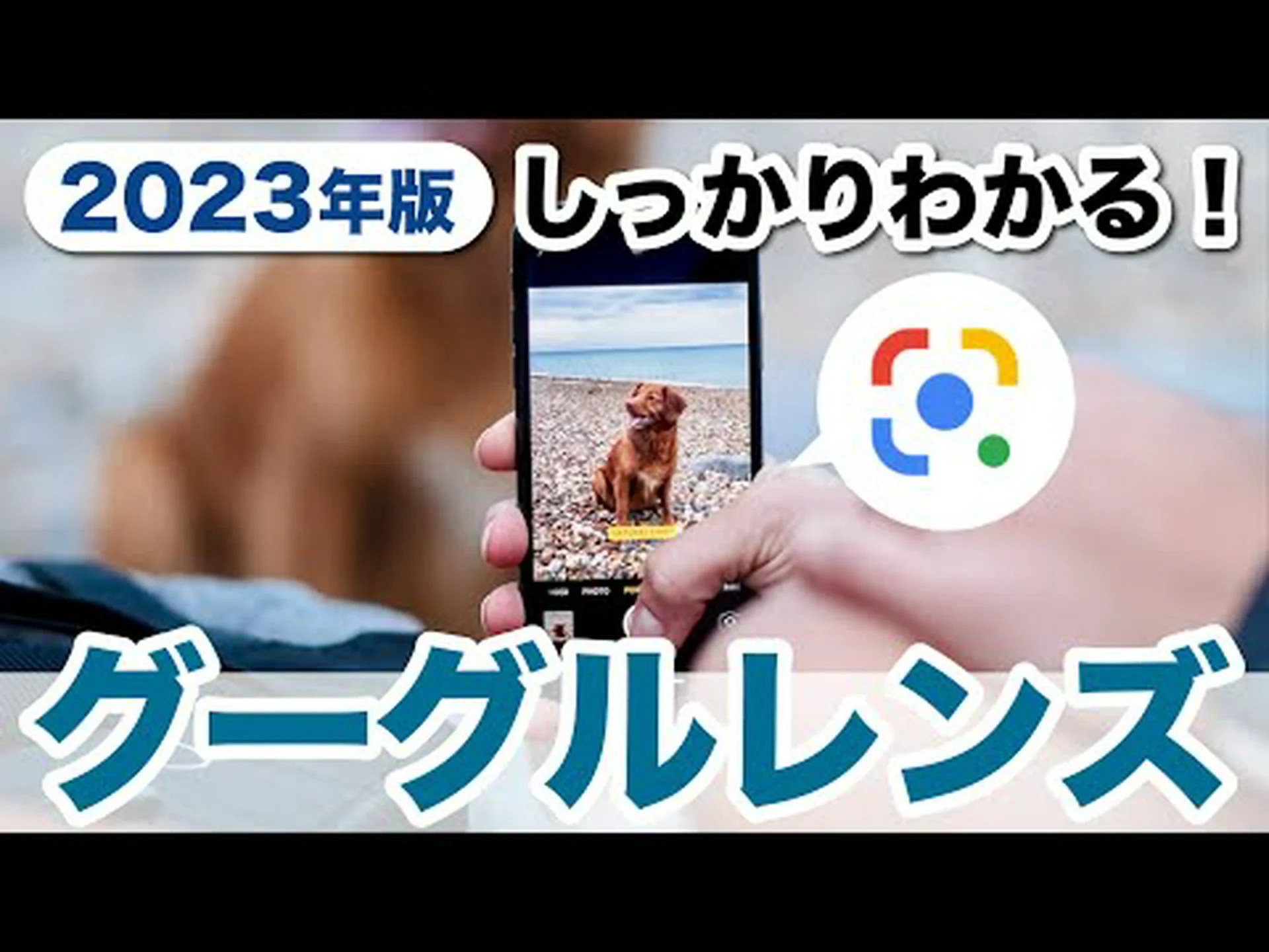 Google レンズ: 動画の質問に答える新機能 Google レンズ: 動画の質問に答える新機能