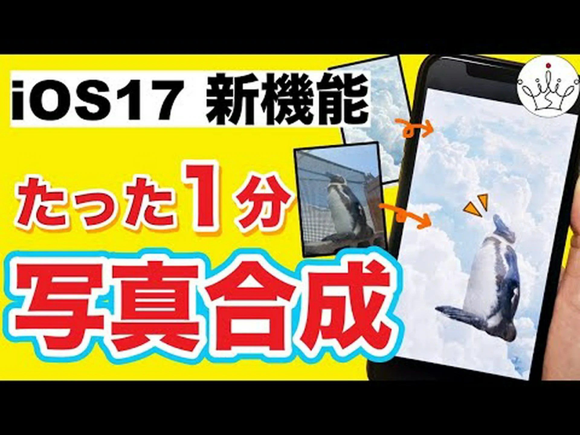 iOS 17 の iMessage: 写真をより速く選択し、メニューをカスタマイズ iOS 17 の iMessage: 写真をより速く選択し、メニューをカスタマイズ