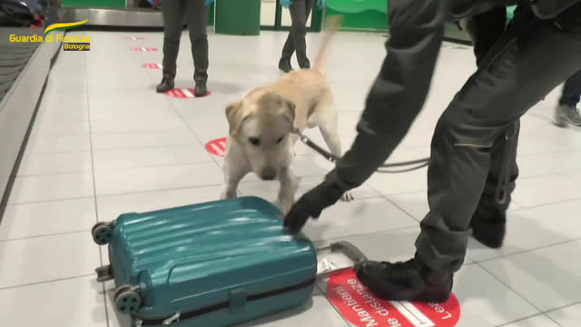Sequestrati più di 4 mila farmaci illegali all'aeroporto di Bologna