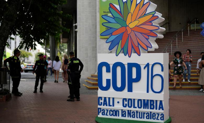 Discussions are still ongoing on key issues on the last day of the UN biological conference in Colombia Discussions are still ongoing on key issues on the last day of the UN biological conference in Colombia