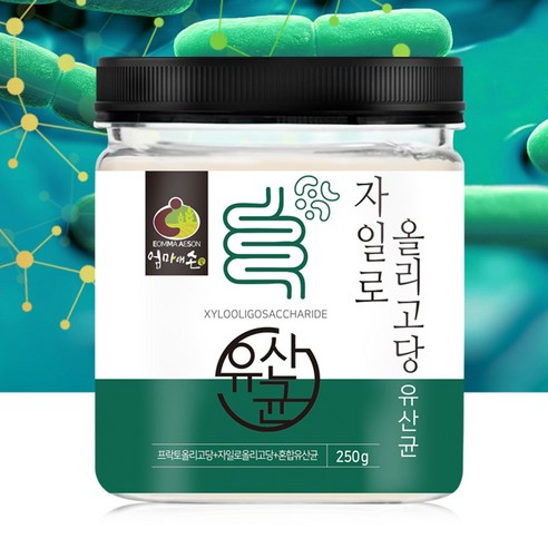 자일로올리고당 유산균 250g 자일로 바이오틱스 분말 가루 프락토올리고당 프리바이오틱스 유산균먹이, 1개