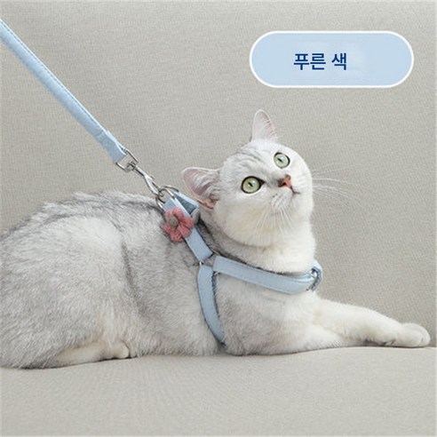 고양이 견인끈 조절 가능 탈출 방지 귀여운 작은 꽃 외출 전용 산책 고양이 끈 고양이 체인 고양이 목걸이 용품, 블루긴귀토끼1.6m끈+