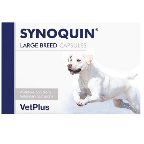 사이노퀸 시노퀸 대형견 대형 관절영양제 30 캡슐 x 2팩 Synoquin EFA Capsules Large Breed Dog, 뼈/관절 강화