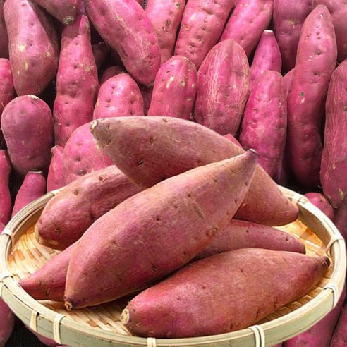 포미식탁 해남 꿀 고구마 햇 세척고구마 5kg (한입), 없음